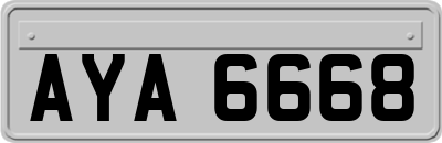 AYA6668