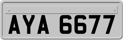 AYA6677