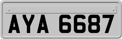 AYA6687