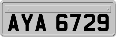 AYA6729