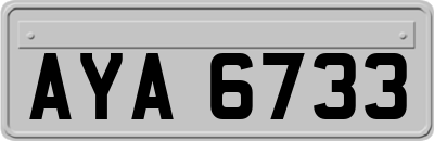 AYA6733