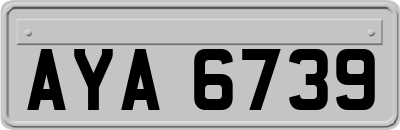 AYA6739