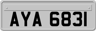 AYA6831