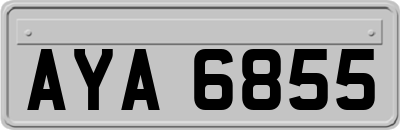 AYA6855