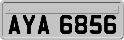 AYA6856
