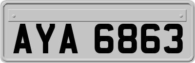 AYA6863