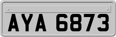 AYA6873