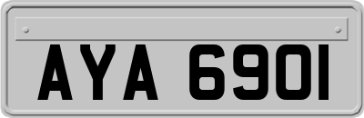 AYA6901