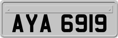 AYA6919