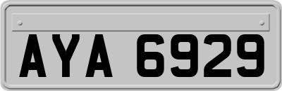 AYA6929