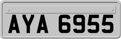 AYA6955