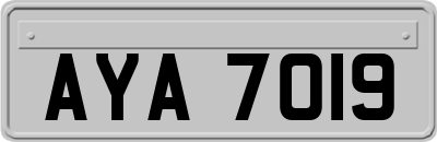 AYA7019