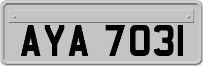 AYA7031