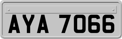 AYA7066