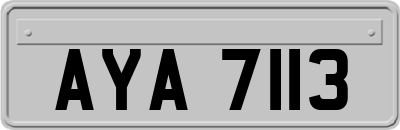 AYA7113