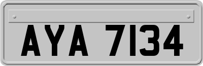 AYA7134