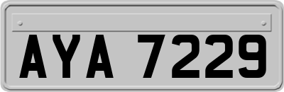 AYA7229