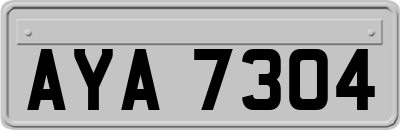 AYA7304