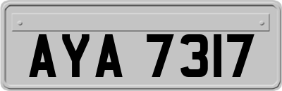 AYA7317