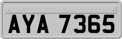 AYA7365