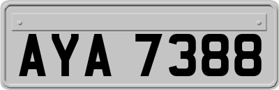 AYA7388