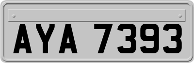 AYA7393