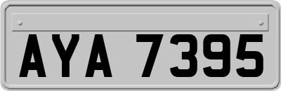 AYA7395