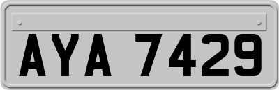 AYA7429