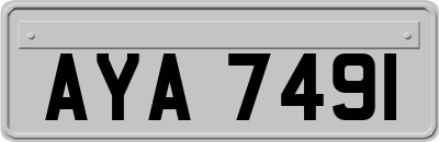 AYA7491