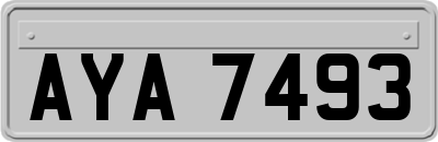 AYA7493