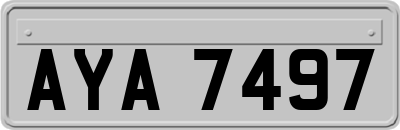 AYA7497