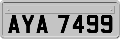AYA7499