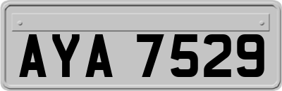 AYA7529