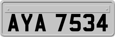 AYA7534