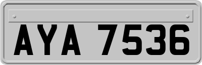 AYA7536