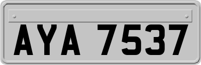 AYA7537