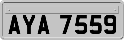 AYA7559