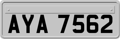 AYA7562