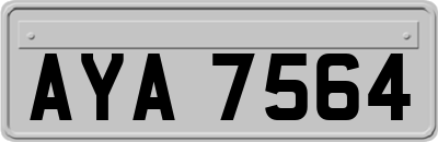 AYA7564