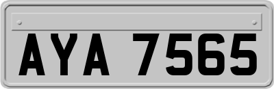 AYA7565