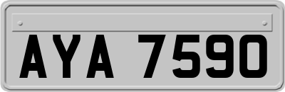 AYA7590