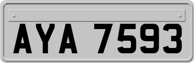 AYA7593