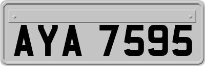AYA7595