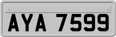 AYA7599