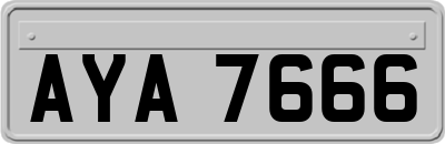 AYA7666