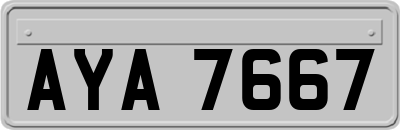 AYA7667