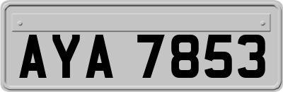 AYA7853