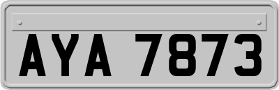 AYA7873