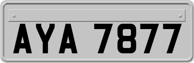 AYA7877