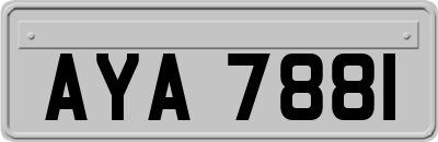 AYA7881